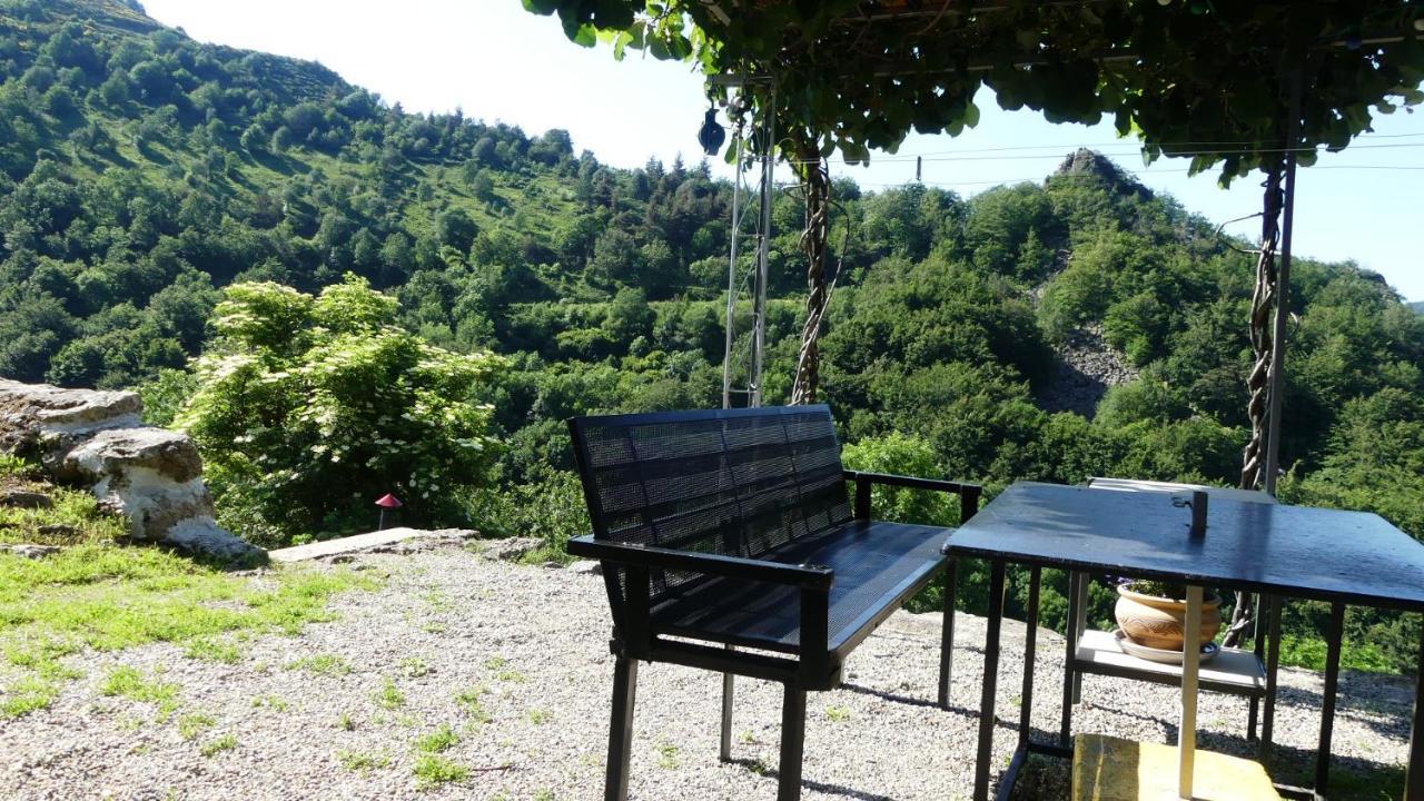 Gite De Noe Au Ray-Pic Pereyres Luaran gambar